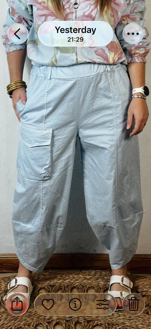 Scout Pants Blue