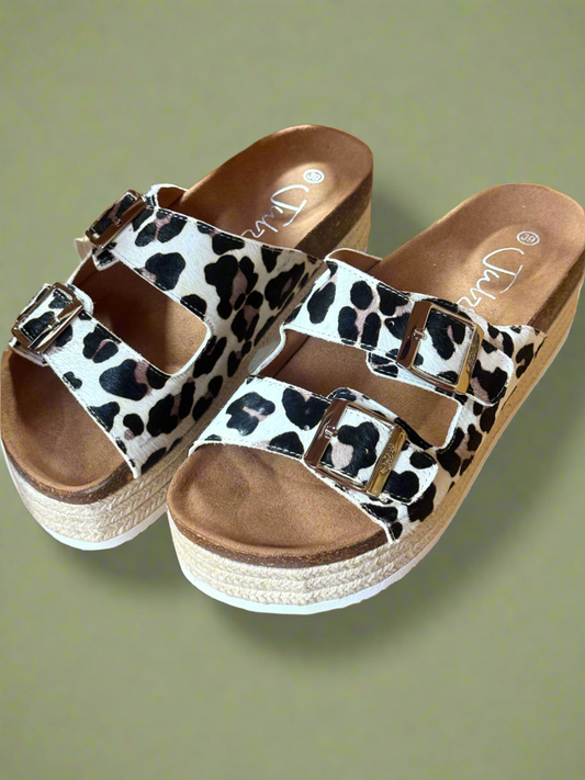 Chicago leopard Julz