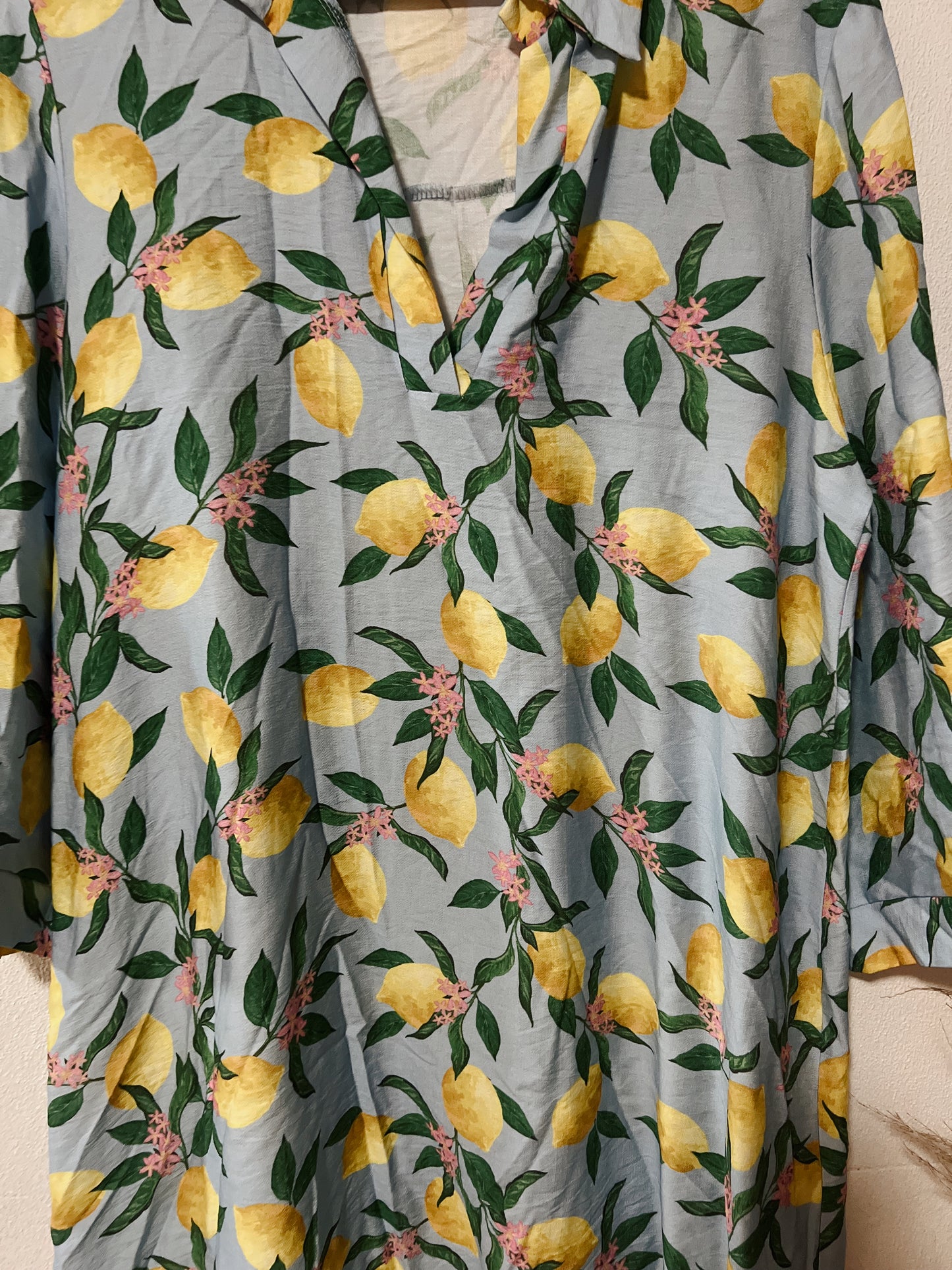 Rosa Shirt Dress