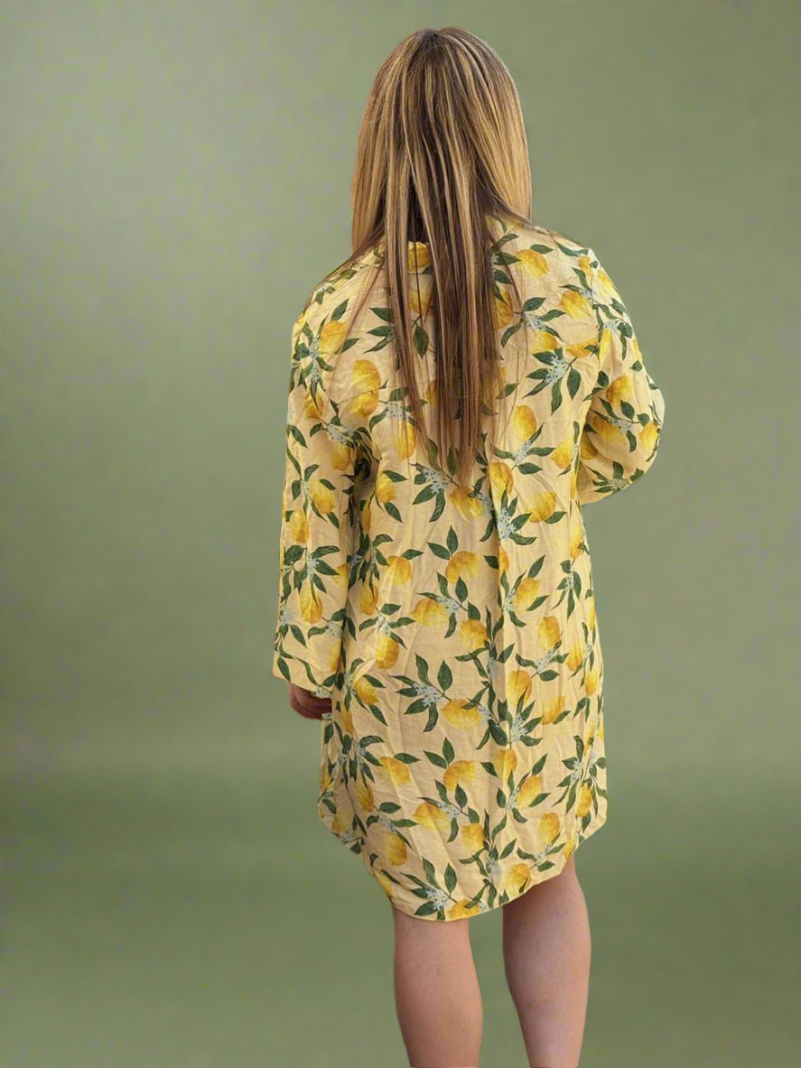 Rosa Shirt Dress