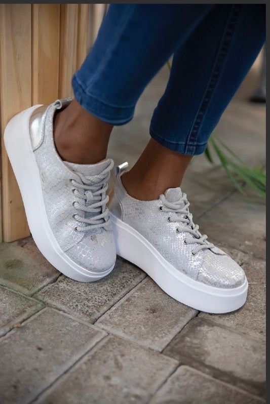 Bari silver snake julz shoe