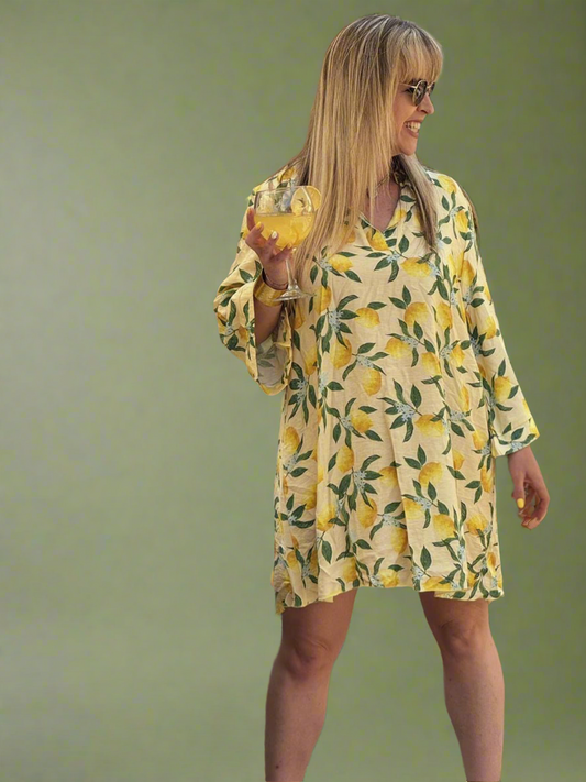 Rosa Shirt Dress