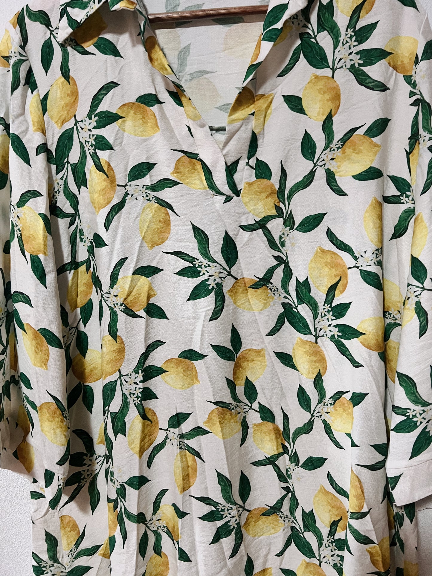 Rosa Shirt Dress