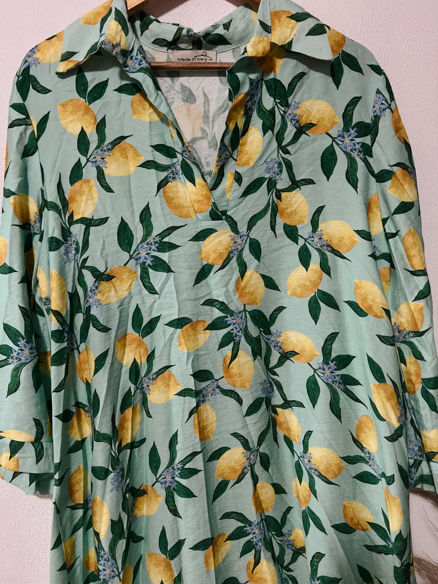 Rosa Shirt Dress