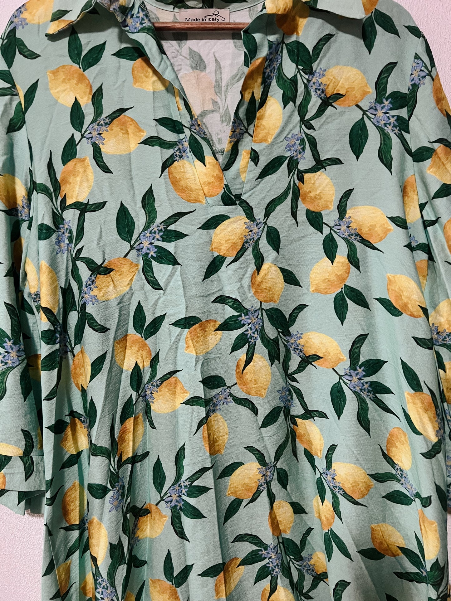 Rosa Shirt Dress