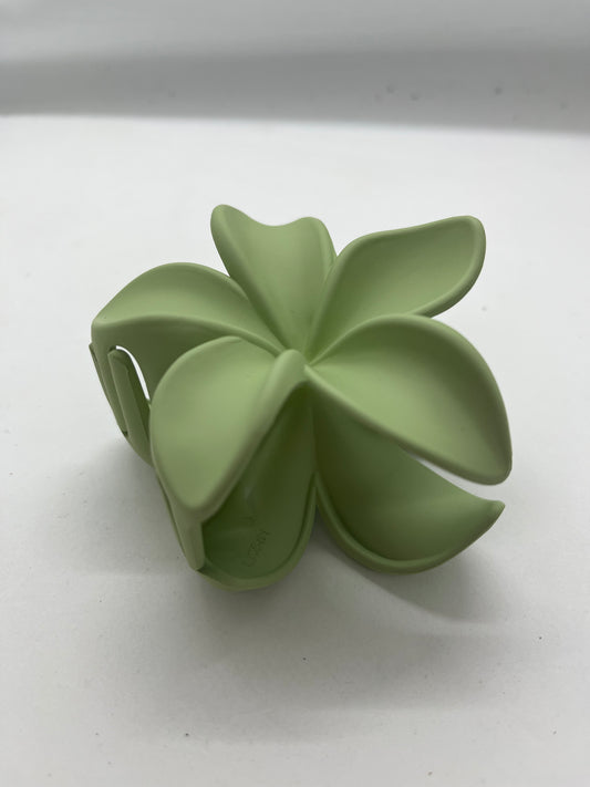 Laura Clip Big