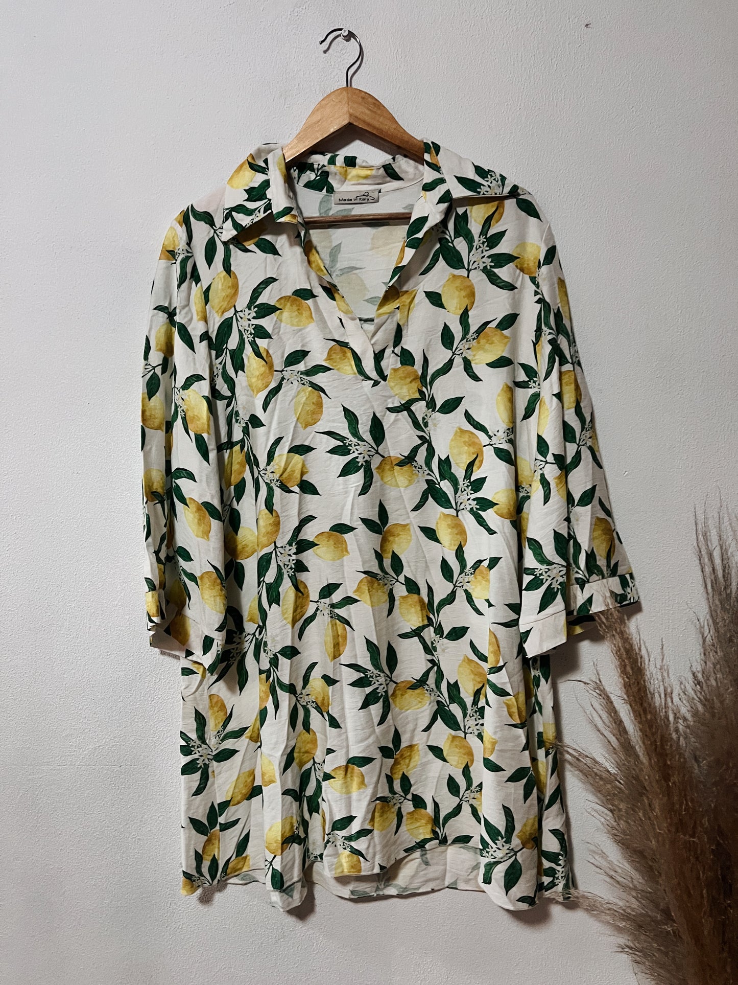 Rosa Shirt Dress