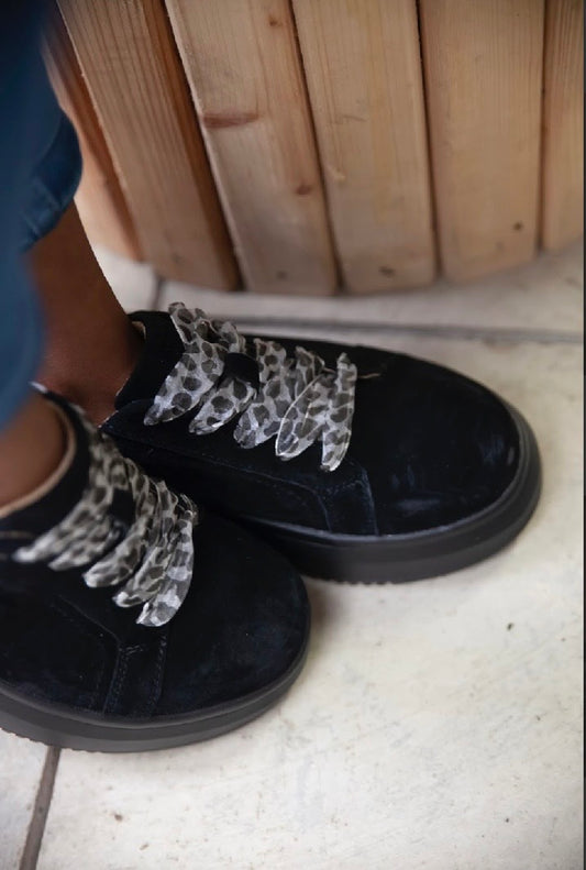 Lyra black julz shoe