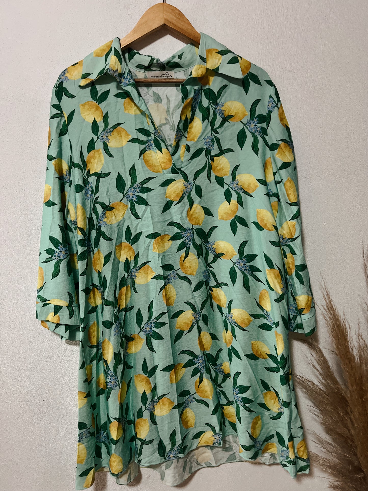 Rosa Shirt Dress