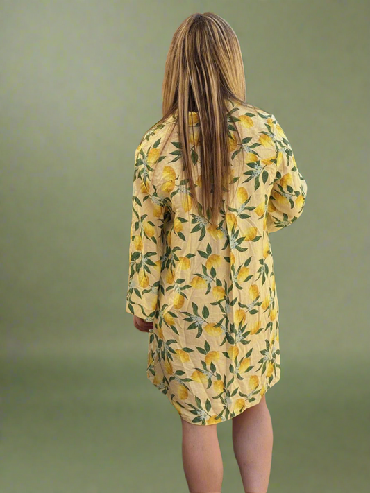Rosa Shirt Dress