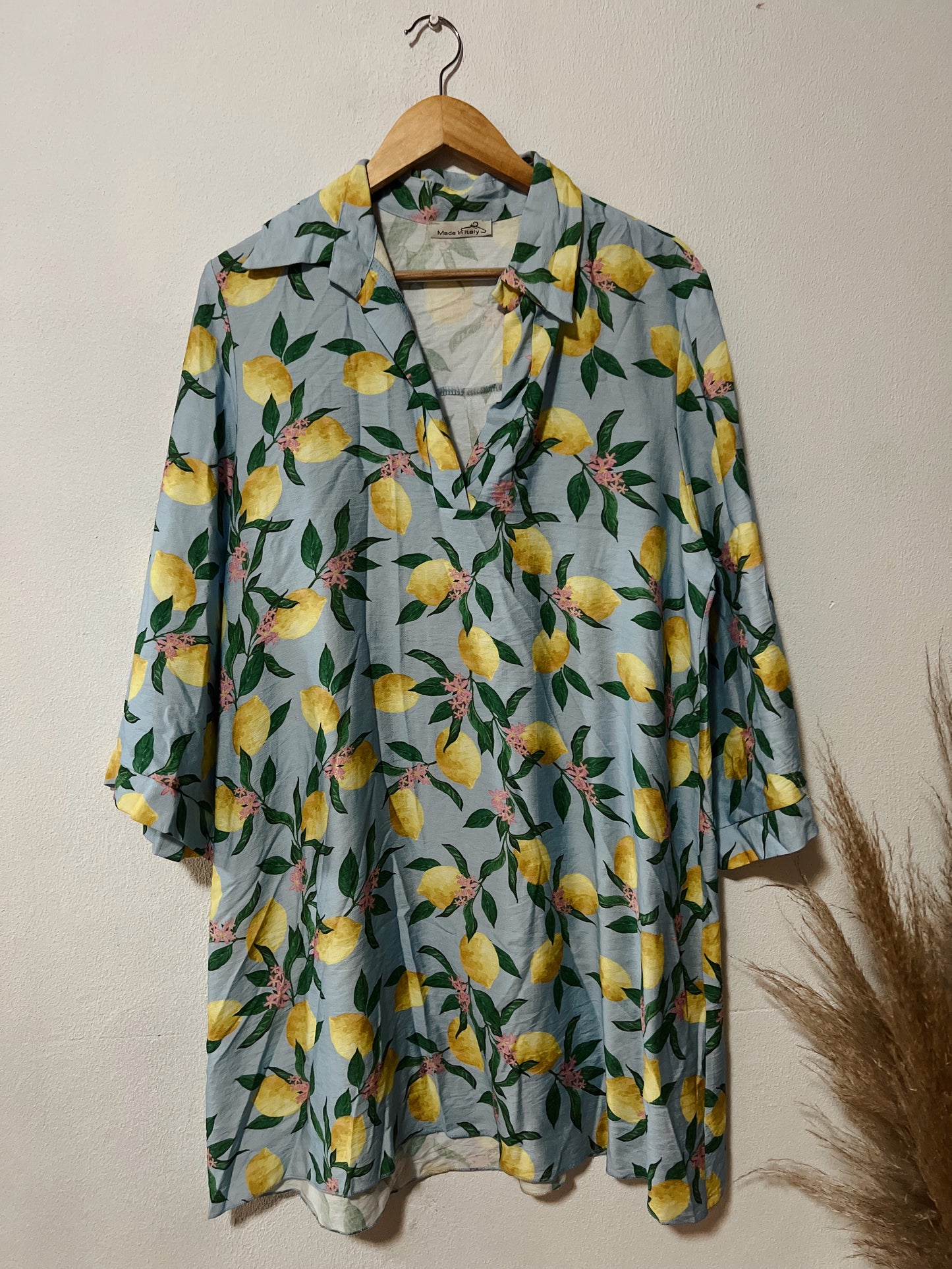 Rosa Shirt Dress